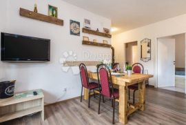 Predivan apartman u srcu prirode - BJELOLASICA!!, Ogulin, Apartamento