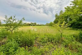 Poljoprivredno zemljište, blizina Velike Gorice, Martinska Ves, Terreno