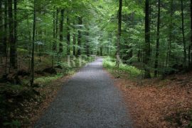 Šuma podno Risnjaka i Platka - 30.000 m2, Jelenje, Zemljište