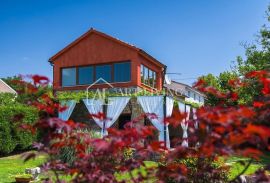 Istra, Buzet - šarmantna rustikalna vila u srcu Istre, Buzet, House