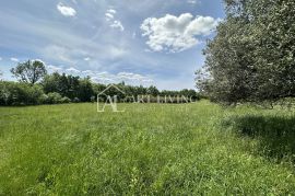 Istra, Buje, okolica - prostrano poljoprivredno zemljište na mirnoj i lijepoj lokaciji, Buje, Terreno