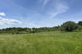 Istra, Buje, okolica - prostrano poljoprivredno zemljište na mirnoj i lijepoj lokaciji, Buje, Zemljište