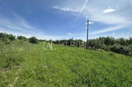 Istra, Buje, okolica - lijepo poljoprivredno zemljište s maslinikom, Buje, Zemljište