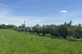 Istra, Buje, okolica - lijepo poljoprivredno zemljište s maslinikom, Buje, Arazi