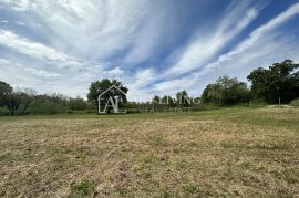 Istra, Umag - okolica - uređeno poljoprivredno zemljište na mirnoj i lijepoj lokaciji, Umag, Terreno