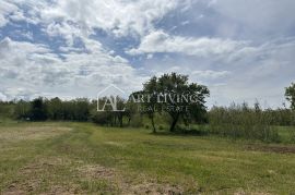 Istra, Umag - okolica - uređeno poljoprivredno zemljište na mirnoj i lijepoj lokaciji, Umag, Γη