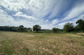 Istra, Umag - okolica - uređeno poljoprivredno zemljište na mirnoj i lijepoj lokaciji, Umag, Land