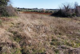 Istra, Umag, okolica - atraktivno građevinsko zemljište s velikom mogućnosti izgradnje, Umag, Land