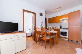 Istra, Novigrad - prekrasan stan sa bazenom na mirnoj i lijepoj lokaciji, Novigrad, Appartment