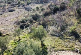 ISTRA, GROŽNJAN, okolica - prelijepo građevinsko zemljište s otvorenim panoramskim pogledom na more, Grožnjan, Arazi