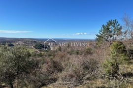 ISTRA, GROŽNJAN, okolica - prelijepo građevinsko zemljište s otvorenim panoramskim pogledom na more, Grožnjan, Terreno