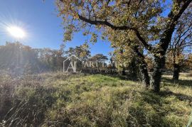 Istra, Umag, okolica - atraktivno poljoprivredno zemljište na odličnoj lokaciji, Umag, Terrain