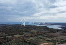 Istra, Poreč, okolica - građevinsko zemljište na odličnoj lokaciji, Poreč, Land