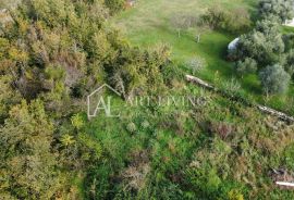 Buje, okolica - šarmantno građevinsko zemljište na atraktivnoj lokaciji, Buje, Land