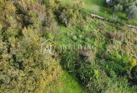 Buje, okolica - šarmantno građevinsko zemljište na atraktivnoj lokaciji, Buje, Land