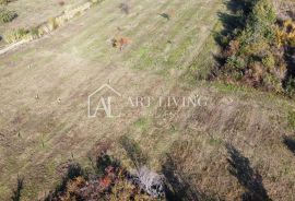 Umag, okolica - atraktivno poljoprivredno zemljište na lijepoj lokaciji, Umag, Land