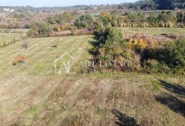 Buje, okolica - atraktivno poljoprivredno zemljište na lijepoj lokaciji, Buje, Land