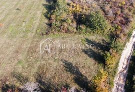 Buje, okolica - atraktivno poljoprivredno zemljište na lijepoj lokaciji, Buje, Land