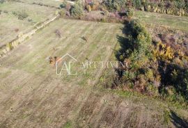 Buje, okolica - atraktivno poljoprivredno zemljište na lijepoj lokaciji, Buje, Land