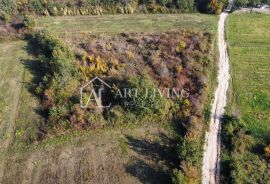 Buje, okolica - atraktivno poljoprivredno zemljište na lijepoj lokaciji, Buje, Land