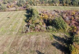 Buje, okolica - atraktivno poljoprivredno zemljište na lijepoj lokaciji, Buje, Terrain