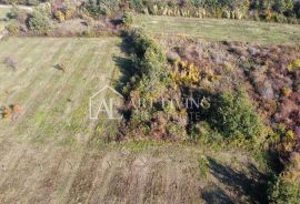 Buje, okolica - atraktivno poljoprivredno zemljište na lijepoj lokaciji, Buje, Land