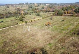 Buje, okolica - atraktivno poljoprivredno zemljište na lijepoj lokaciji, Buje, Land