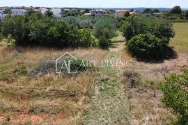 Vodnjan - okolica, atraktivno građevinsko zemljište s pogledom na more, Vodnjan, Terrain