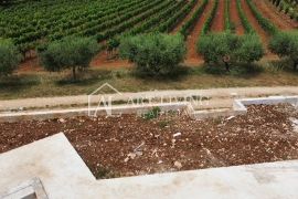 Poreč - okolica , atraktivna vila sa panoramskim pogledom na pejzaž i more, Poreč, Famiglia