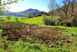 Motovun-okolica, Vrijedno građevinsko zemljište s pogledom na Motovun, Motovun, Arazi