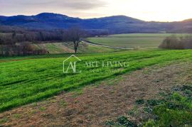 Motovun-okolica, Vrijedno građevinsko zemljište s pogledom na Motovun, Motovun, أرض