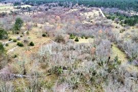 Oprtalj, lijepo poljoprivredno zemljište 10 200 m2, Oprtalj, Terrain