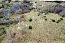 Oprtalj, lijepo poljoprivredno zemljište 10 200 m2, Oprtalj, Land