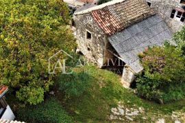 Grožnjan-okolica, Autohtono istarsko imanje na prekrasnoj lokaciji, Grožnjan, Maison