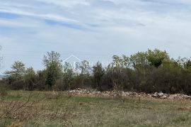 Umag-okolica, vrijedno poljoprivredno zemljište 21 000 m2, Umag, Γη