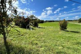 Grožnjan-okolica, atraktivno građevinsko zemljište 7000 m2, Grožnjan, Terrain