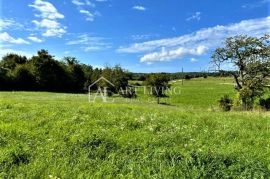 Grožnjan-okolica, atraktivno građevinsko zemljište 7000 m2, Grožnjan, Land