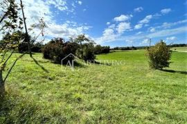 Grožnjan-okolica, atraktivno građevinsko zemljište 7000 m2, Grožnjan, Terrain