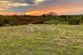 Umag-okolica, lijepo poljoprivredno zemljište 1000 m2, Umag, Land