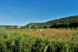 Buje-okolica, lijepo poljoprivredno zemljište 5100 m2, Buje, Γη