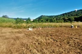 Buje-okolica, lijepo poljoprivredno zemljište 5100 m2, Buje, Terra