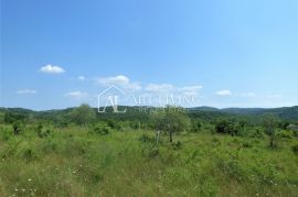 Brtonigla, atraktivno poljoprivredno zemljište 31000 m2 s otvorenim pogledom, Brtonigla, Tierra