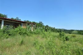 Brtonigla, atraktivno poljoprivredno zemljište 31000 m2 s otvorenim pogledom, Brtonigla, Terrain