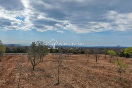 Bale, Poljoprivredno zemljište ograđeno suhozidom, 11.470 m2, Bale, Terra