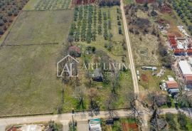 Novigrad okolica – atraktivno zemljište na TOP poziciji u T3 zoni, prilika za investiciju, Novigrad, أرض