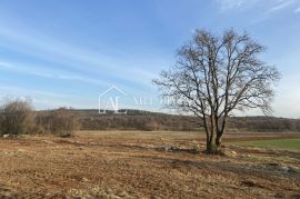 Istra- Bale, Iznimno vrijedno poljoprivredno zemljište 11,200 m2, Bale, Terra