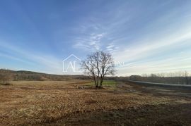 Istra- Bale, Iznimno vrijedno poljoprivredno zemljište 11,200 m2, Bale, Land