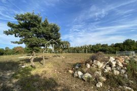 Bale , Izuzetno vrijedno poljoprivredno zemljište 1,3 km od mora, Bale, Terreno