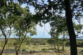 Bale, atraktivno poljoprivredno zemljište s pogledom na Brijune, Bale, Земля
