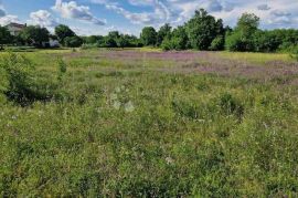 Građevinsko zemljište u blizini Marčane, Marčana, Land